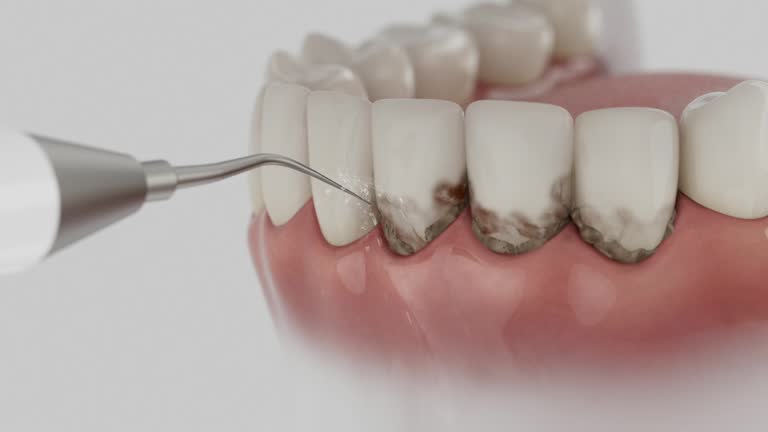 Reliable Dental contractor in South Roxana, IL by Dentist Open Now